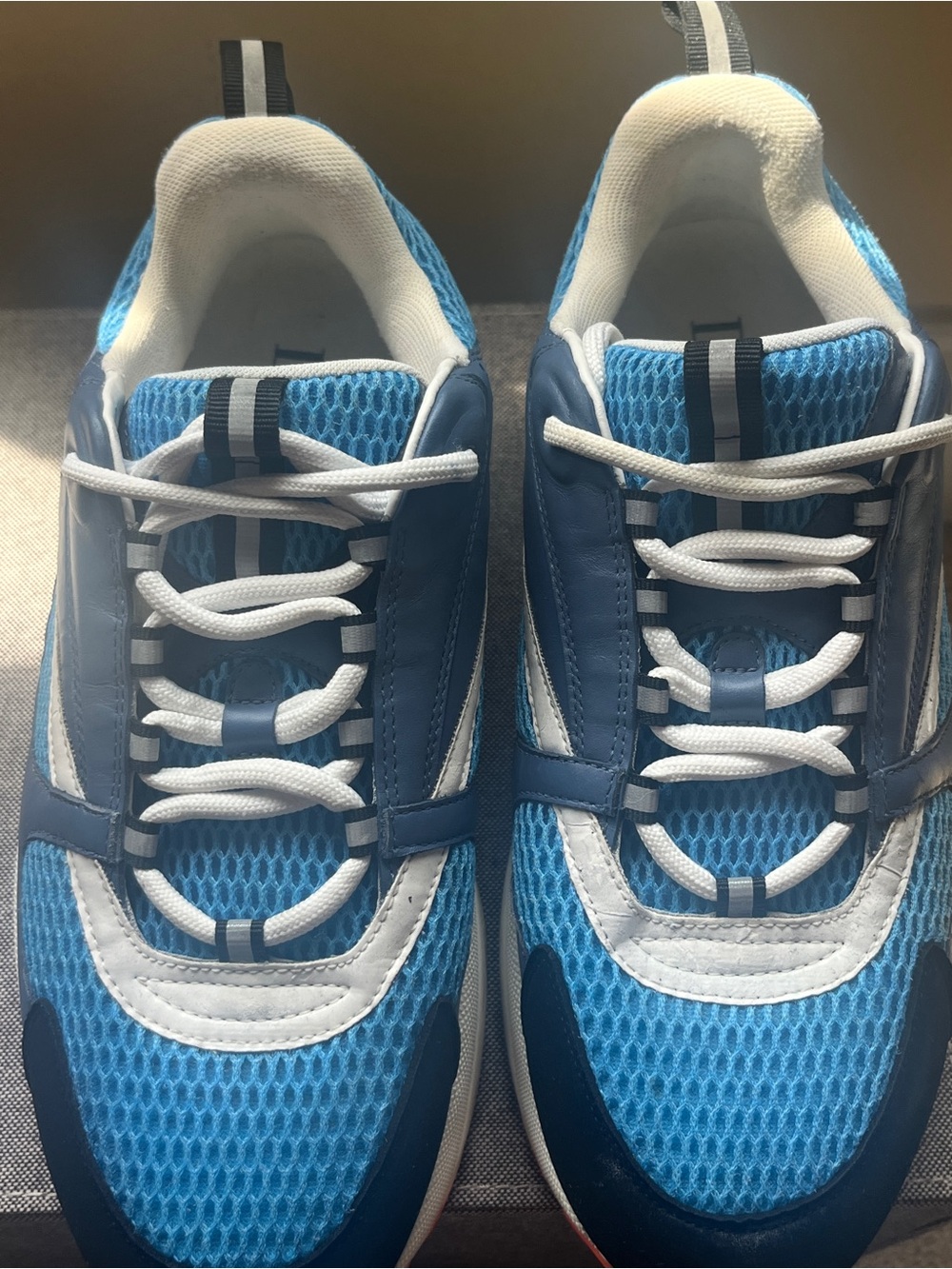 Dior Blue and White Men's Mesh Sneakers